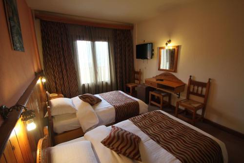 Hotel Victoria Metsovo